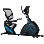 Recumbent Parma-M