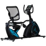 Recumbent Parma-D - Image 2